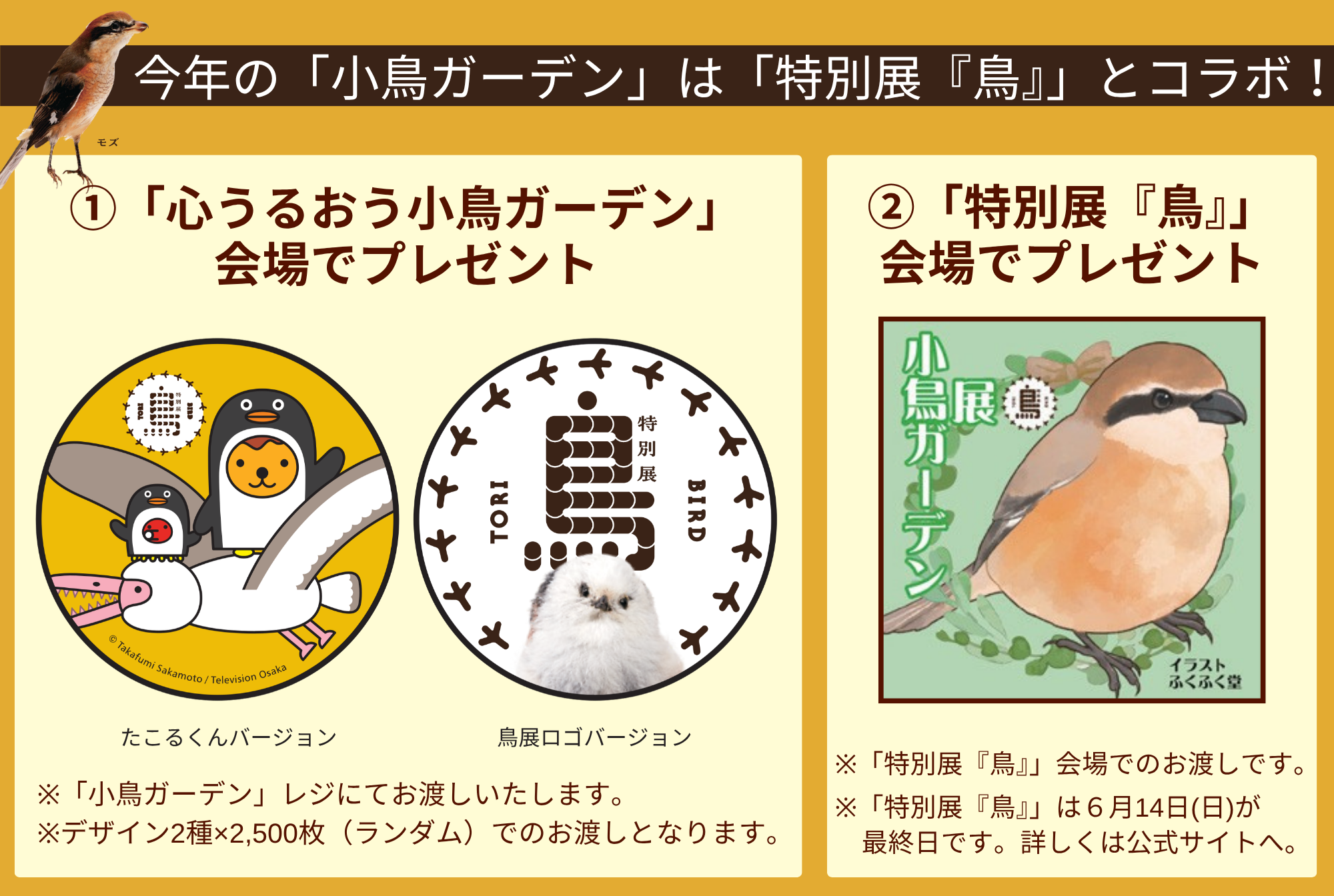 心うるおう小鳥ガーデン2026 | 阪神梅田本店 | 阪神百貨店