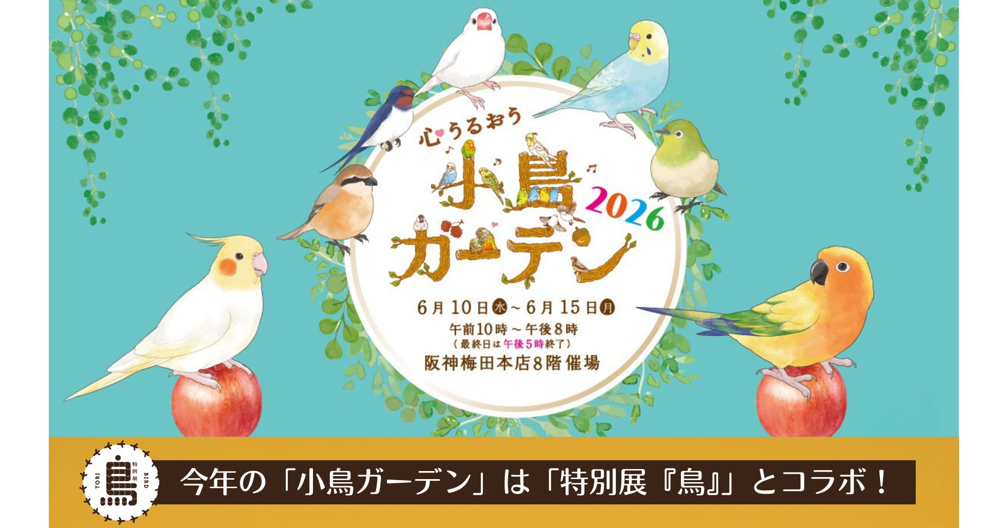 心うるおう小鳥ガーデン2026 | 阪神梅田本店 | 阪神百貨店