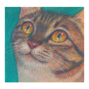 OSAKA ART FES 2025 HANSHIN 画業35周年 與倉豪 個展 Tears＆Face