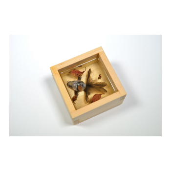 深堀隆介 作品展『金魚絵思』Kingyo eshi | 売場ニュース | 阪神梅田