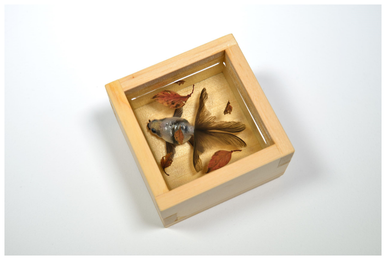 深堀隆介 作品展『金魚絵思』Kingyo eshi | 売場ニュース | 阪神梅田